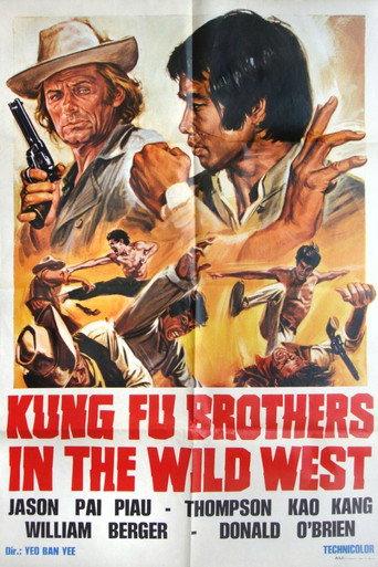 Kung Fu Brothers in the Wild West (1973) poster