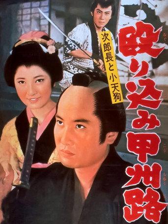 A Revengeful Raid (1962) poster