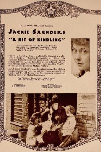 A Bit of Kindling (1917) poster