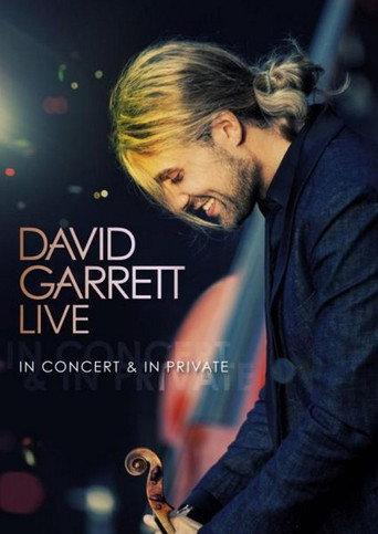 David Garrett LIVE - In Concert & In Private (2011) poster