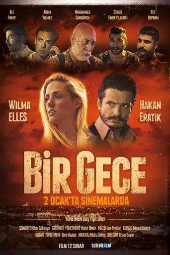 Bir Gece () poster