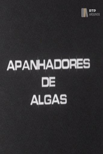 Apanhadores de Algas (1975) poster
