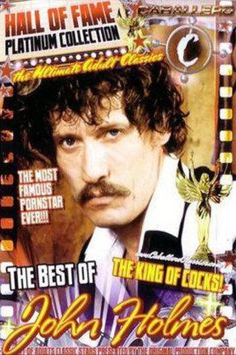 Caballero Hall of Fame Best of John Holmes (2003) poster