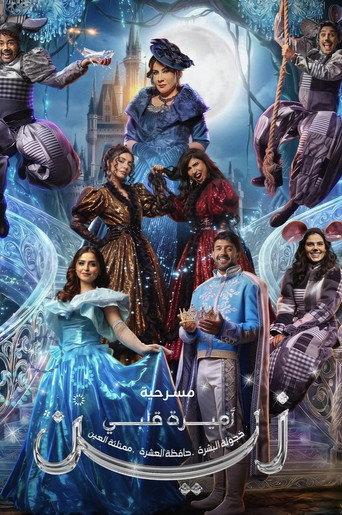 اميرة قلبي زين (2026) poster
