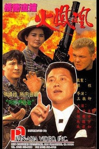 Fire Phoenix (1990) poster