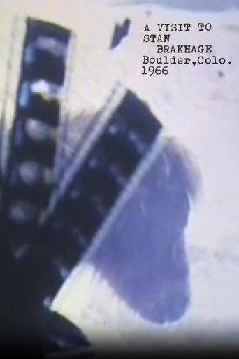 A Visit to Stan Brakhage (2006) poster