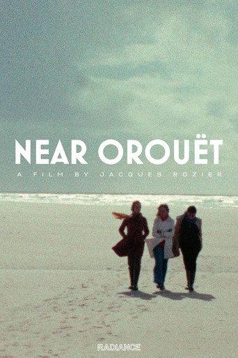 Near Orouët (1973) poster