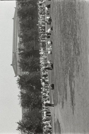 All-Star Baseball Meets at Grant Park (1939) poster