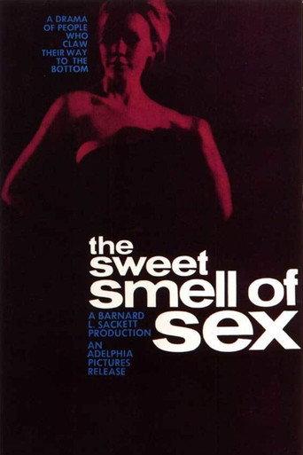 Sweet Smell of Sex (1965) poster