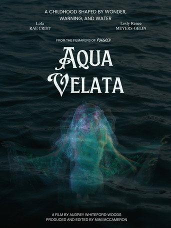 Aqua Velata () poster