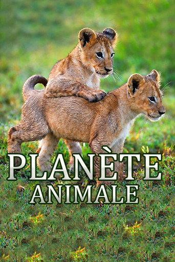 Animal Planet (2019) poster