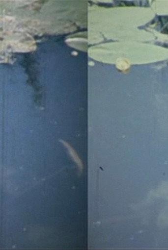 Time Flow (1977) poster