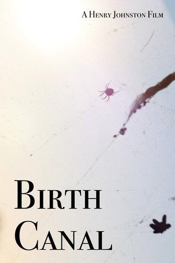 Birth Canal (2020) poster