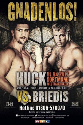 Marco Huck vs Mairis Briedis (2017) poster