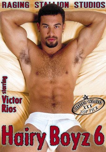 Hairy Boyz 6 (2006) poster