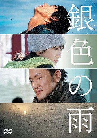 Silver Rain (2009) poster