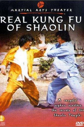 Real Kung Fu Of Shaolin (1980) poster