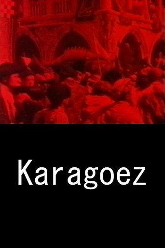 Karagoez catalogo 9,5 (1981) poster