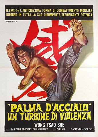The Invincible Iron Palm (1971) poster