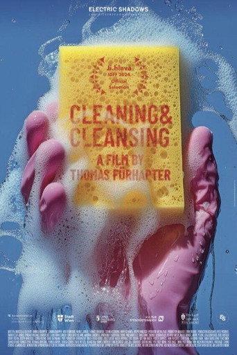 Cleaning & Cleansing (2024) poster