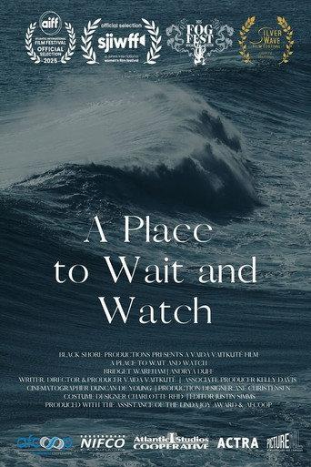 A Place to Wait and Watch (2025) poster