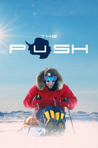The Push (2018) poster