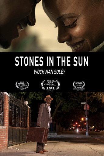 Stones in the Sun (2014) poster