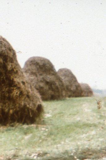 Haystacks (1981) poster