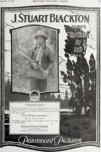 The World for Sale (1918) poster