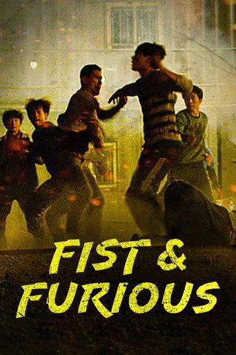Fist & Furious (2019) poster
