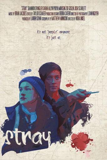 Stray (2020) poster