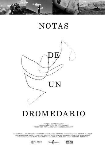 Notes from a Dromedary (2022) poster