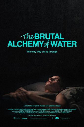 The Brutal Alchemy of Water (2026) poster