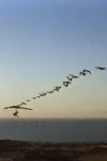 The Ultra Geese (1998) poster