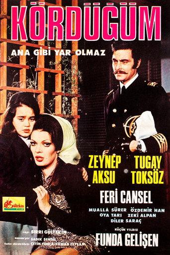 Kördüğüm (1970) poster