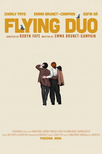Flying Duo () poster