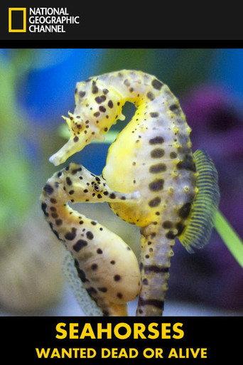 Seahorses: Wanted Dead or Alive (2011) poster