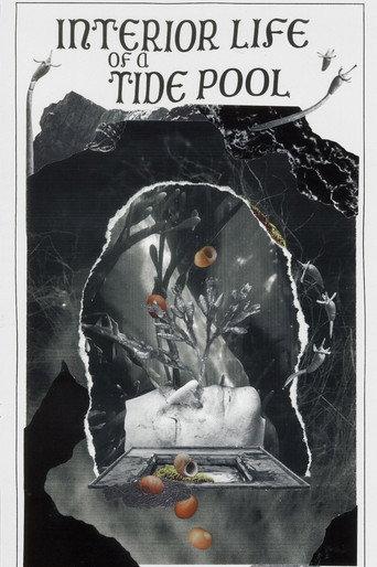 Interior Life of a Tidepool (2022) poster