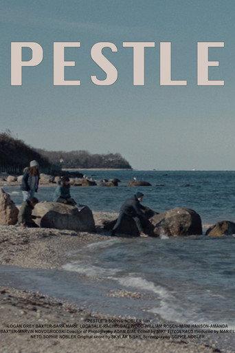 Pestle () poster