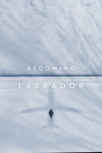 Becoming Labrador (2019) poster