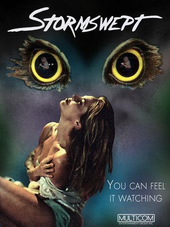 Stormswept (1995) poster