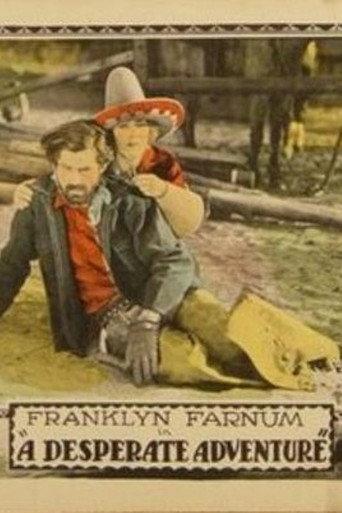 A Desperate Adventure (1924) poster