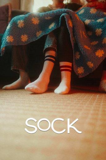 Sock () poster