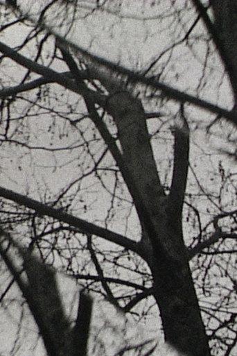 Triple Exposure (2013) poster