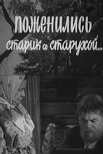 An Old Man and An Old Woman Got Married (1971) poster