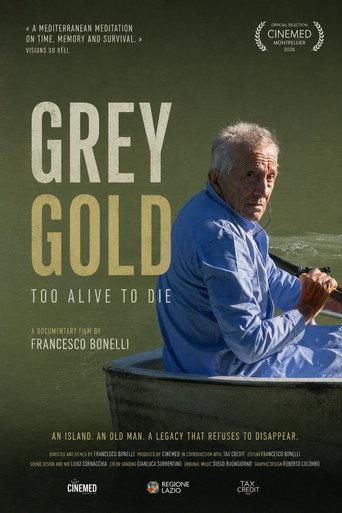 Oro grigio - Troppo vivi per morire (2025) poster