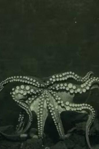 Life in the Deep Sea: Molluscs (1914) poster