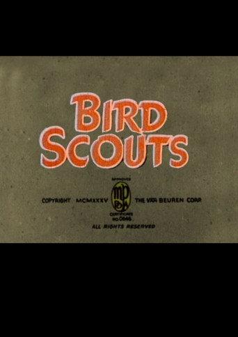 Bird Scouts (1935) poster