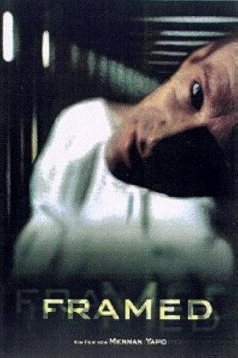 Framed (1999) poster
