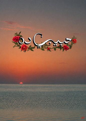 Habeeby Da (2025) poster